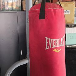 Everlast Punching Bag With Stand - $175 OBO