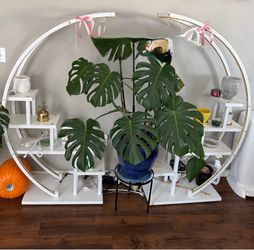 Huge plant stand WITH grow lights!