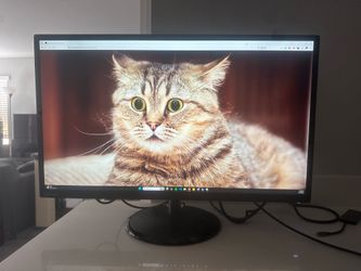Lenovo 31.5in 2K Monitor