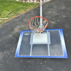 Lifetime Basketball Hoop- FREE! 