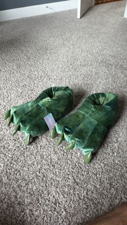 Dino slippers