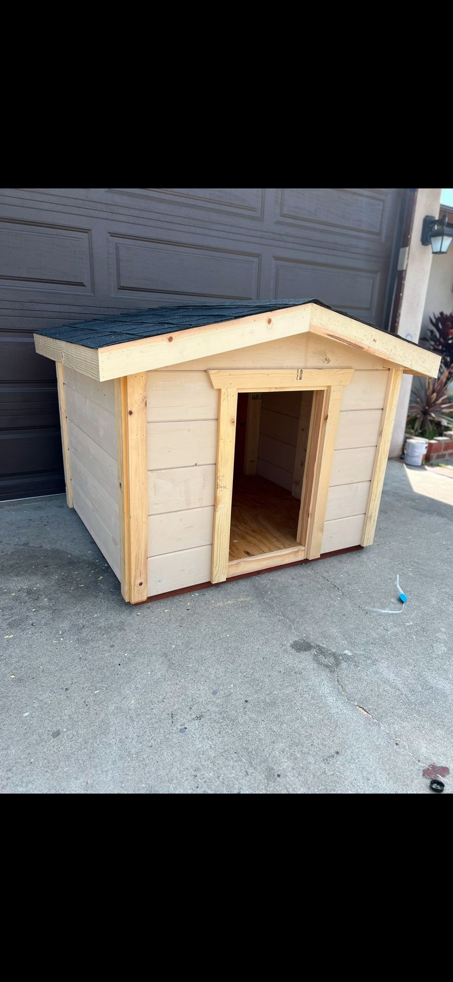 Custom Dog House