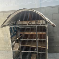 Bird Cage 