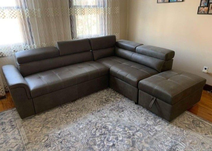 Pull Out Bed Sectional Couch Same Day Delivery 