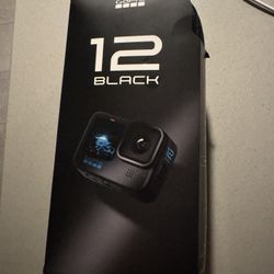 GoPro Hero 12 Black 