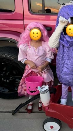 Bridget from Descendants Costume & Wig 💗👑