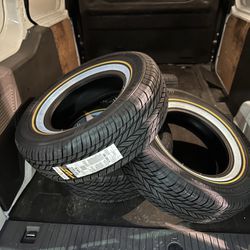 Vogue Tires All Sizes From 15”-24” White And Gold 