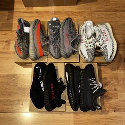 Yeezys All Size 11