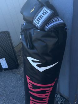 Everlast punching bag and gloves with chain