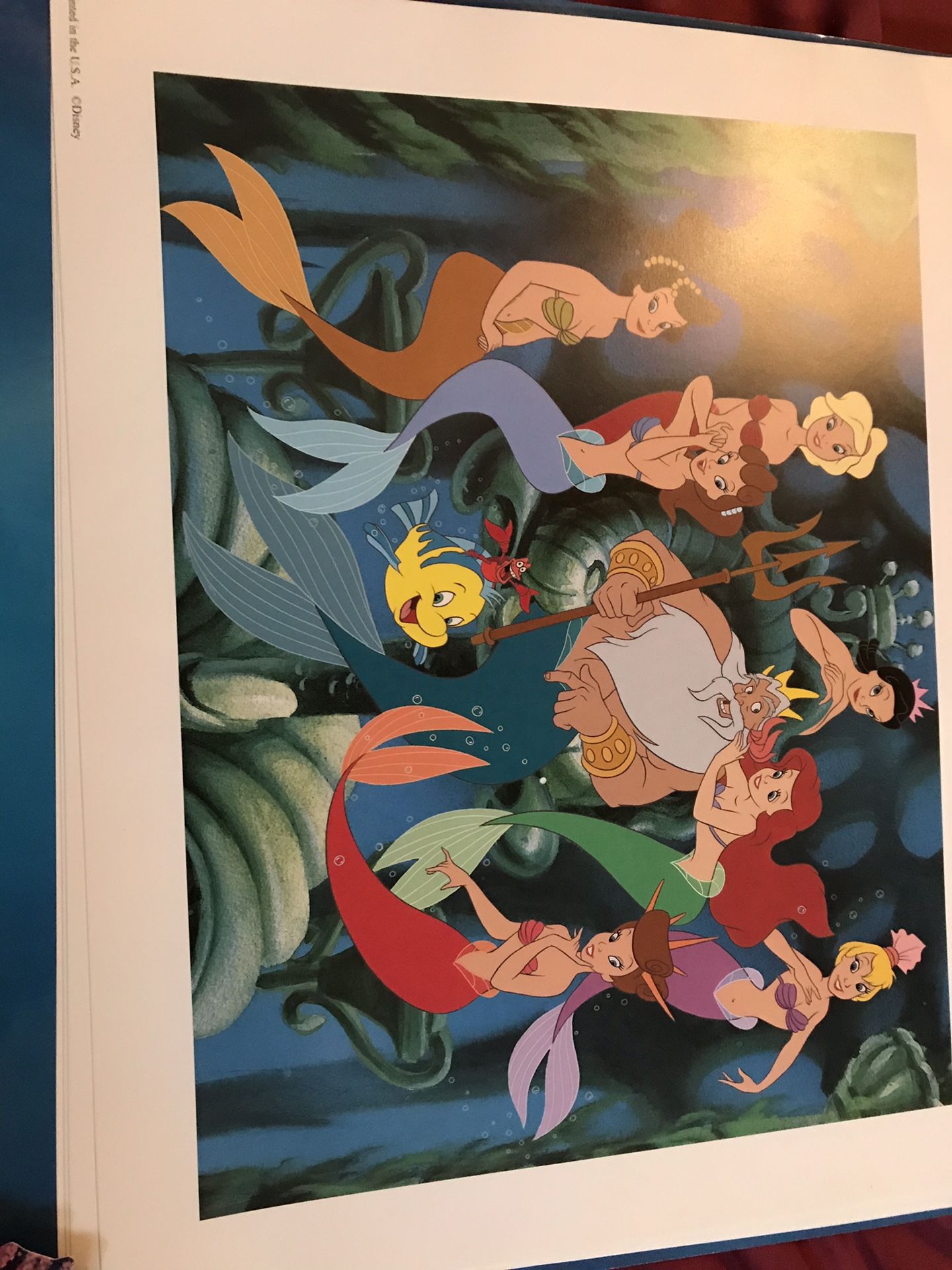 Disney Little Mermaid Lithographs. In original sleeve. Never been displayed. 1990