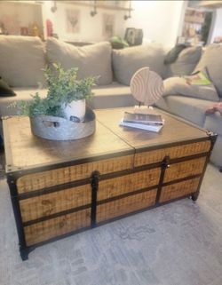 Living Spaces Storage Chest
