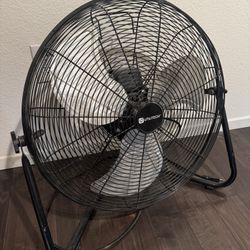 Fan 
