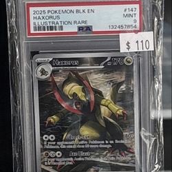 Pokémon Haxorus Illustration Rare Holo Sv: Black Bolt 147/086 PSA 9 English 2025