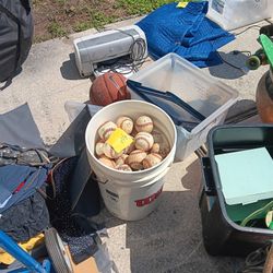 Bucket Of Used Baseballs