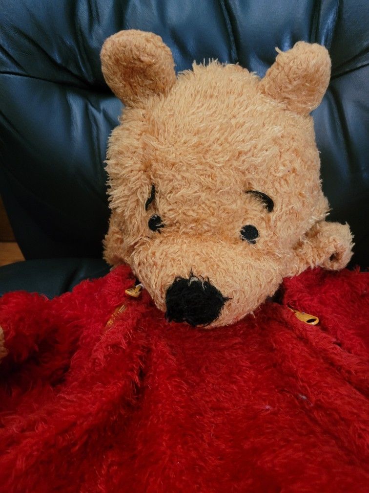 Disney Winnie The POOH ๐ Halloween ๐ BEAR Costume