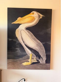 Large Pelican Paintings