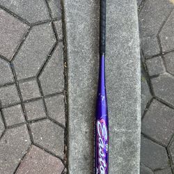 Easton Lightweight Baseball Bat