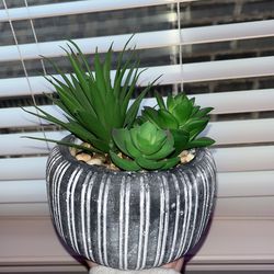House Decor Fake Succulent