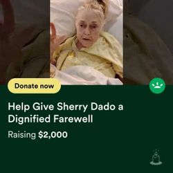 GoFundMe Please