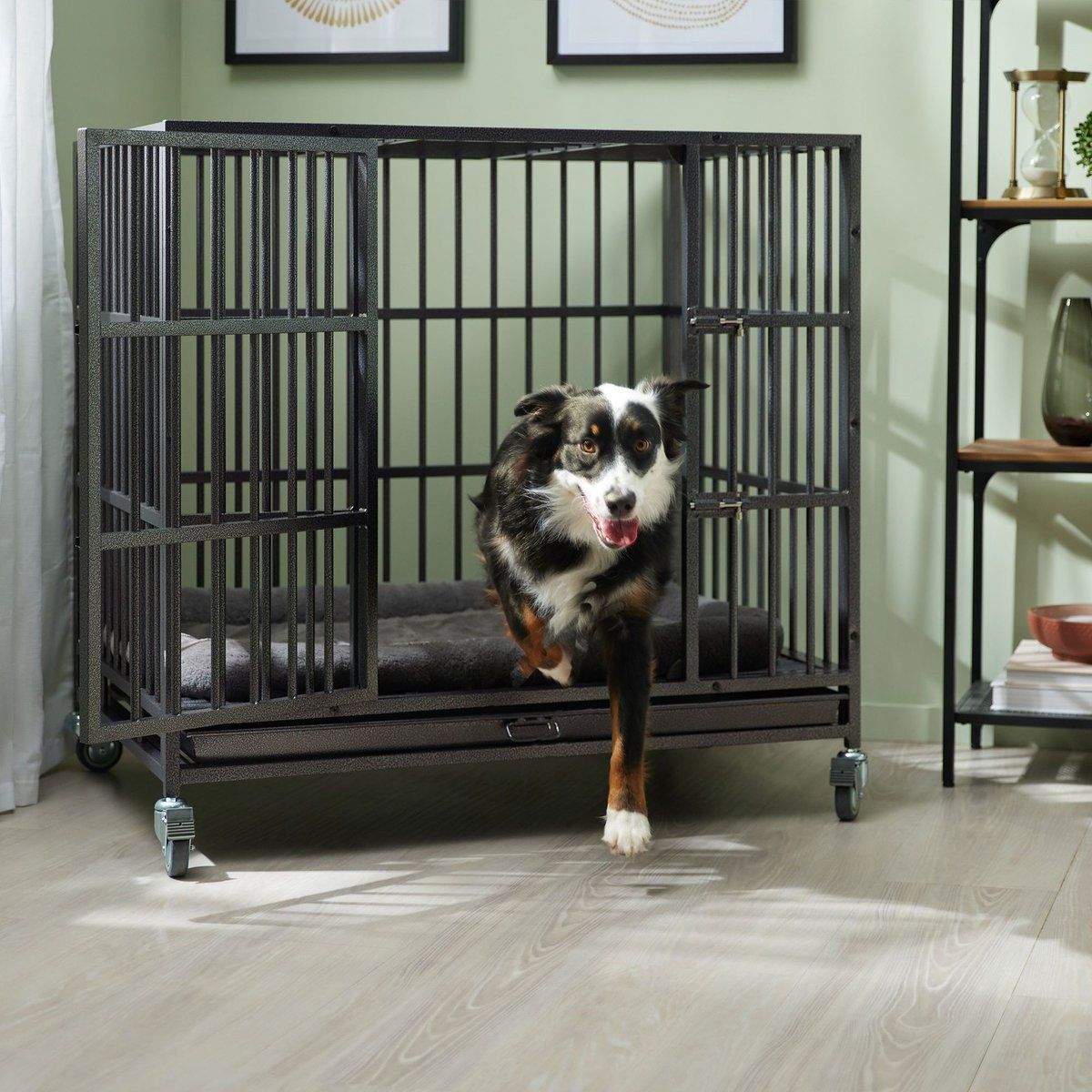Frisco Ultimate Heavy Duty Steel Metal Single Door Dog Crate kennel