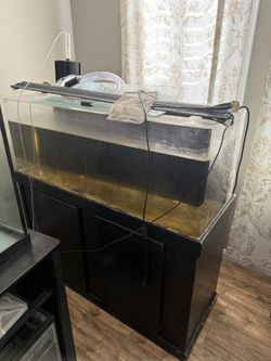 75gal Acrylic Tank With Stand