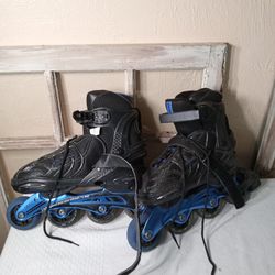 Schwinn Unisex Adult Inline Skates ABEC 7 Adjustable Sizes 8 - 9.5, SC-168-8/9