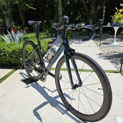 Specialized Limited Edition Men's 54