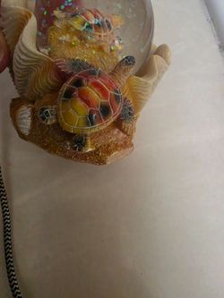 Snow globe turtle