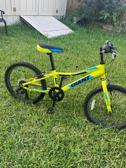 Bicycle World Kids Bicycle
