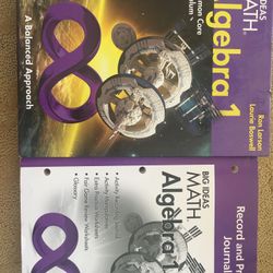 Algebra 1 Textbook and Workbook