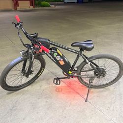 Hoverfly E Bike 