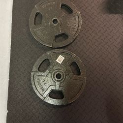 2x 25 Lb Plates For Standard Size Barbell (not Olympic Sized)