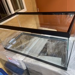 40 Gallon Fish/Reptile Tank