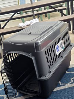 Pet porter
