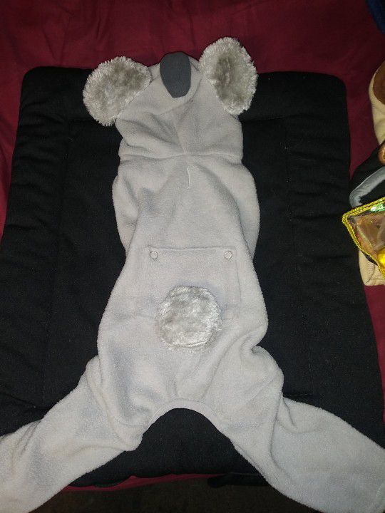 Brandnew Dog Koala Bear Costume Size M/S