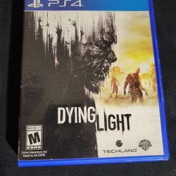 PS4 Dying Light Game 