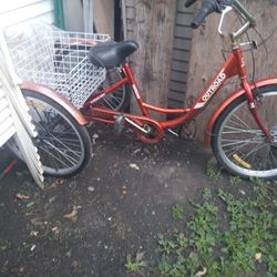 Trike Color Tan Red