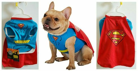 Superman Pet Costume - Small