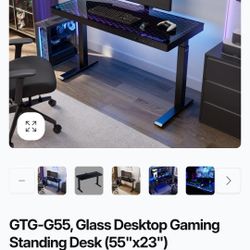Eureka Ergonomics GTG 55" RGB Gaming Desk