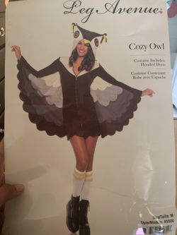 Cozy Cute Owl Costume