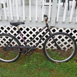 Basic Single Speed Beach Cruiser Bike Ready To Ride 26-in Wheels