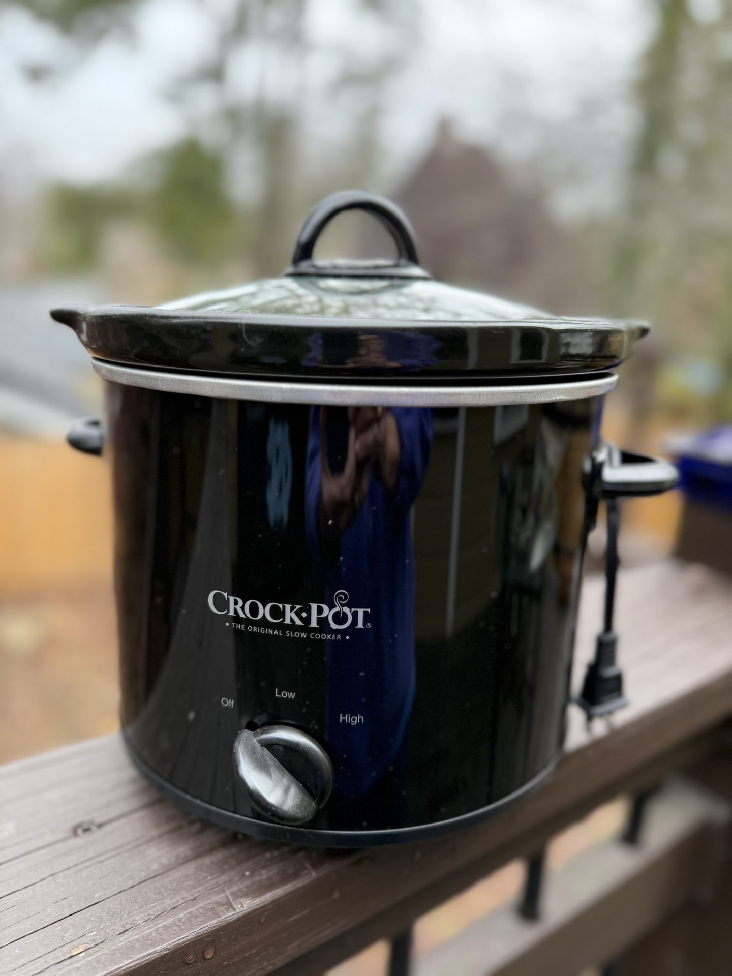 Crock Pot