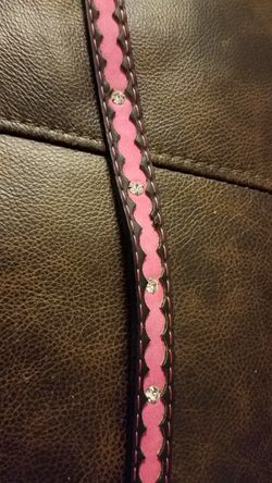 Bret Michael's Collar XS