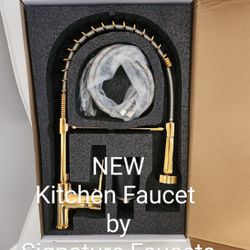 New Kitchen Faucet 