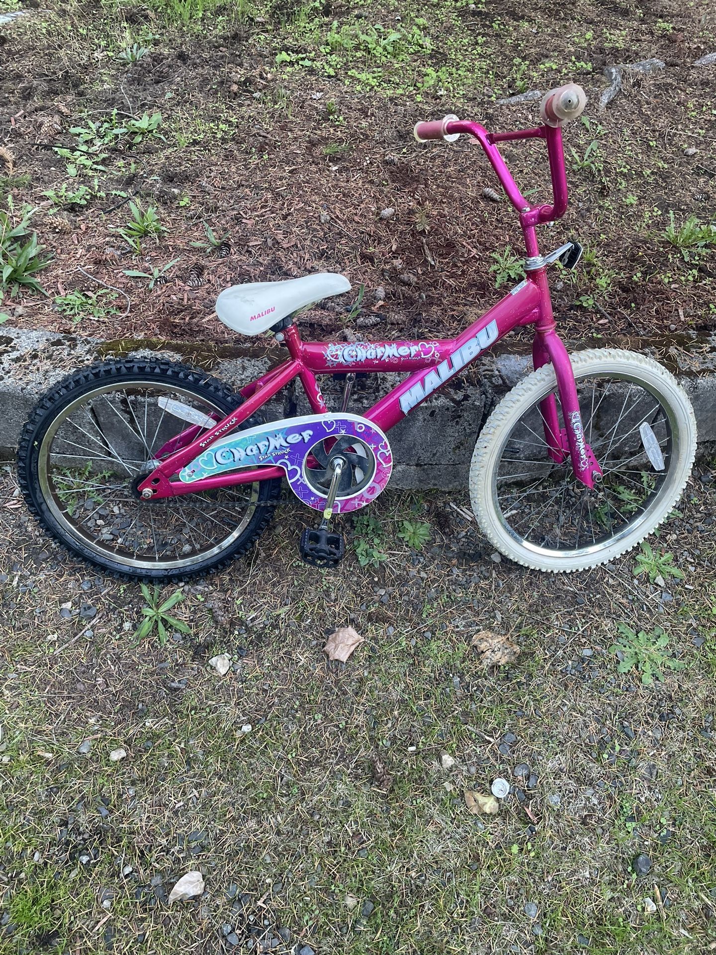 20” Girl Bike