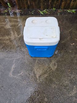 Igloo Cooler