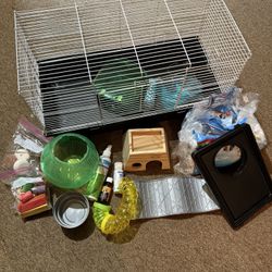 Guinea Pig Cage and Accessories