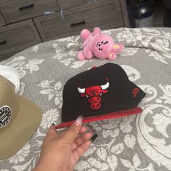 Chicago Bull 
