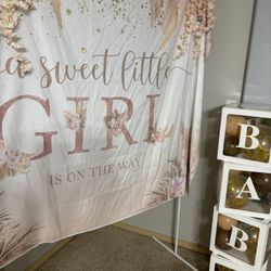 Baby Girl Baby Shower Decorations