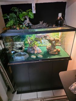 40 gal Reptihaitat Reptile tank & stand 4mo old